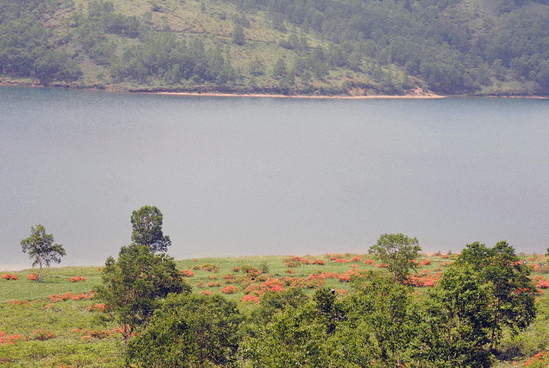 a0001354_2011375.gif