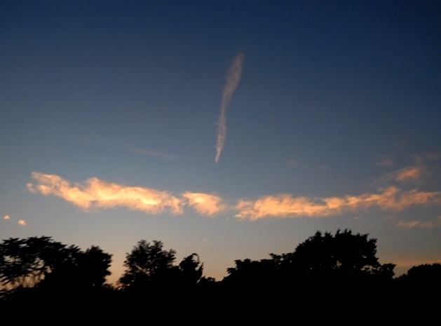 b0173754_14143980.jpg