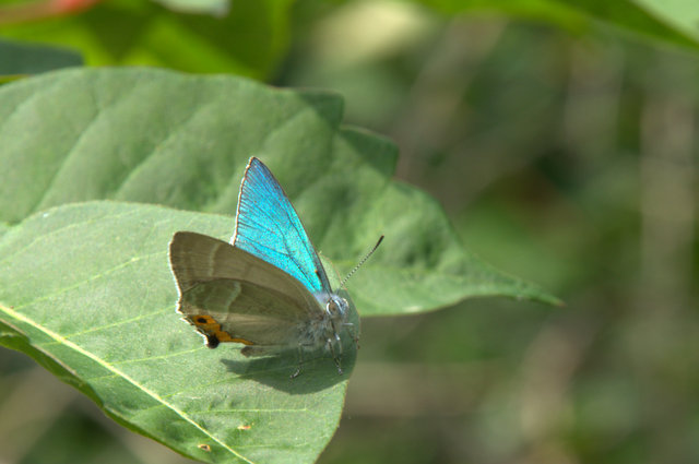 d0098057_9292135.jpg