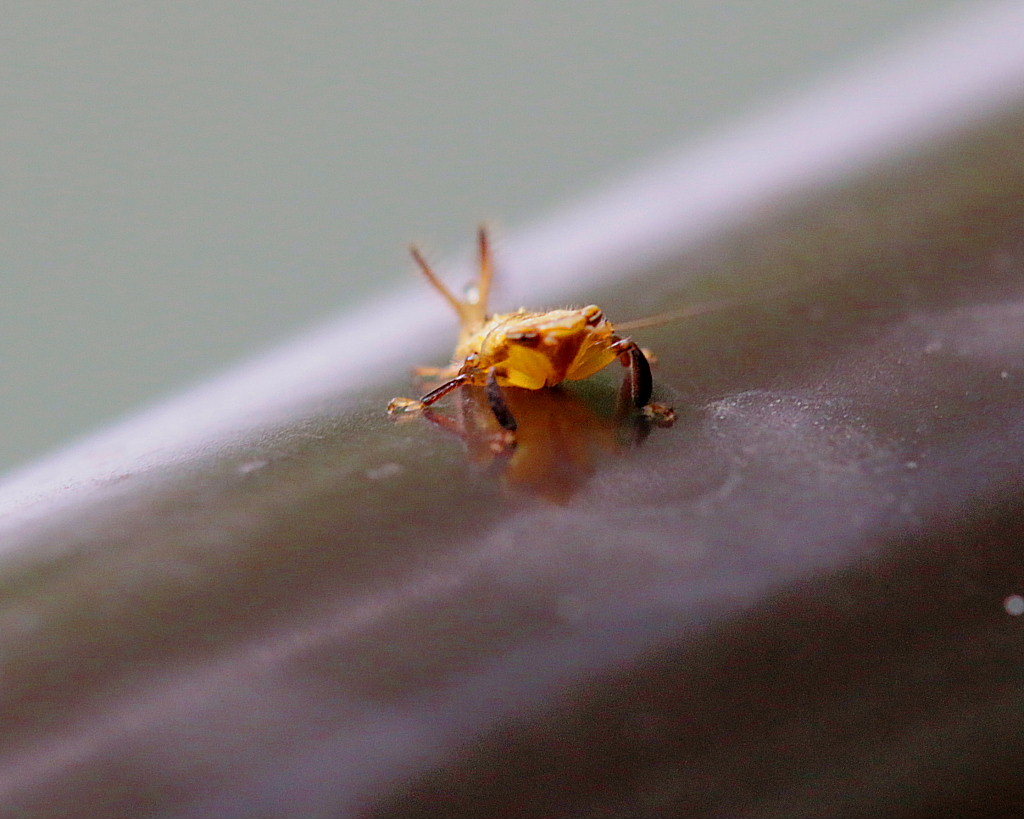c0305565_18334756.jpg