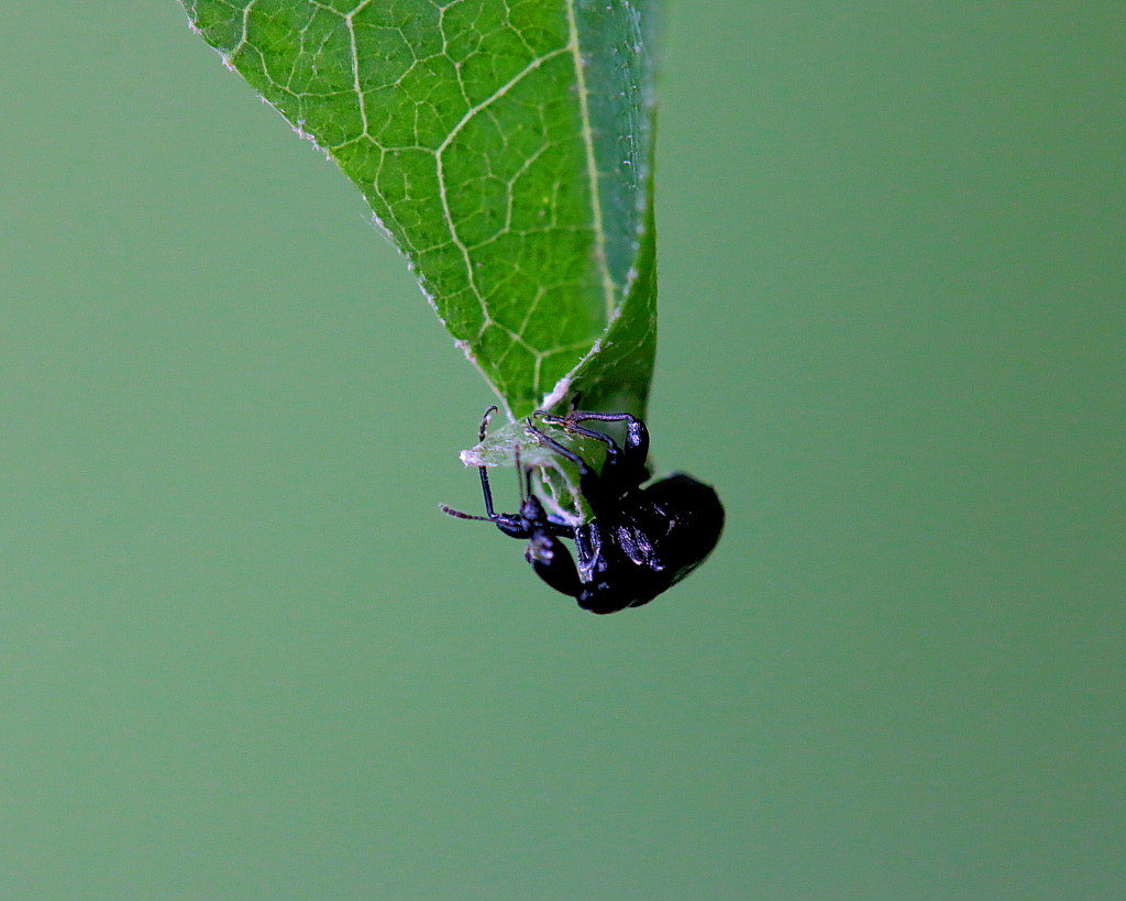c0305565_18344079.jpg
