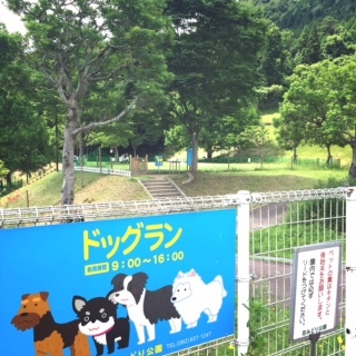 e0247279_22110162.jpg