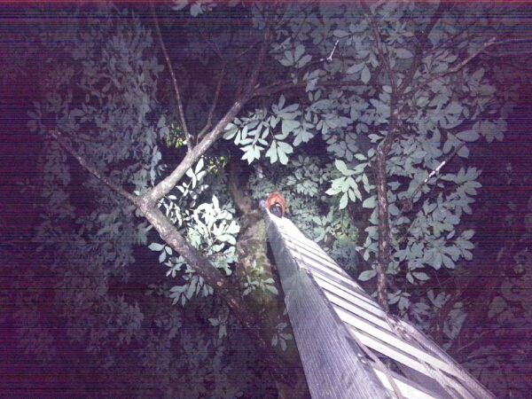 f0183484_1221447.jpg