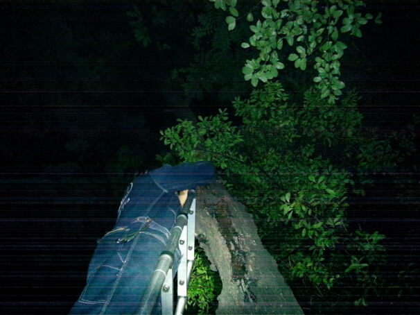 f0183484_1225283.jpg