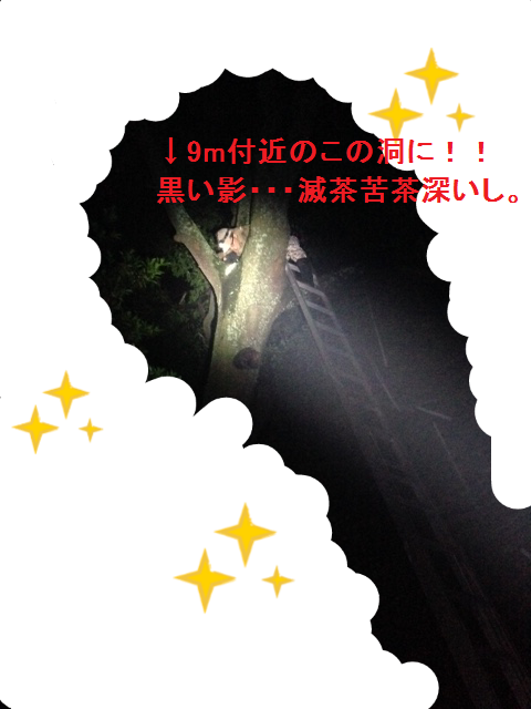 f0183484_14213362.png
