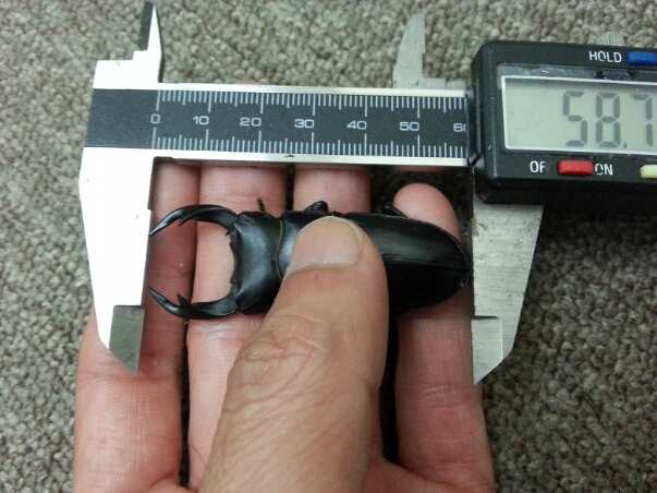 f0183484_1517247.jpg