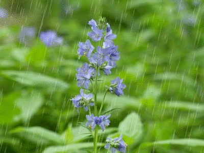 f0357487_1158151.gif