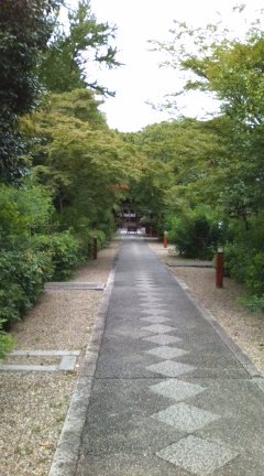 b0205694_8322886.jpg