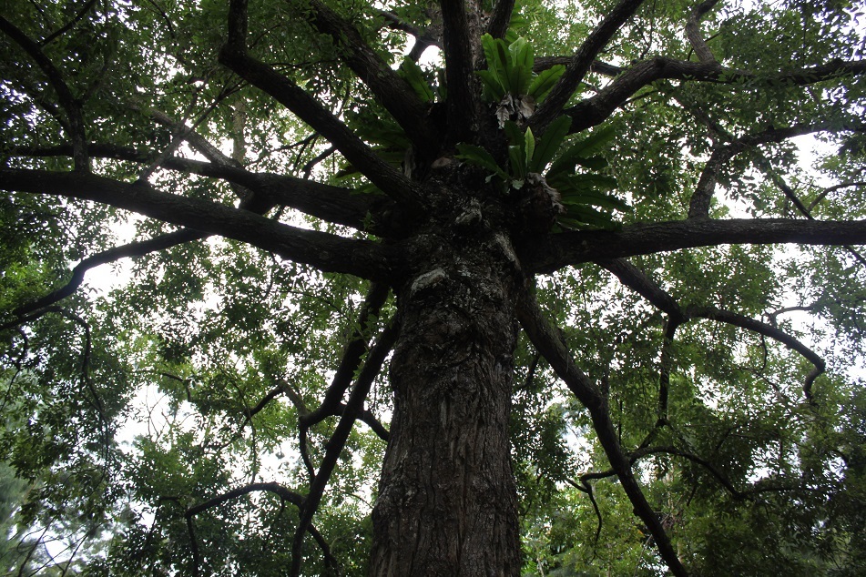 f0328897_08235016.jpg