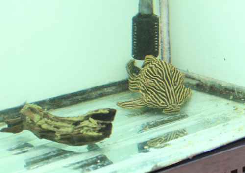 c0165800_22532475.jpg