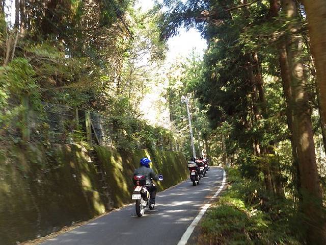 b0164002_10595246.jpg