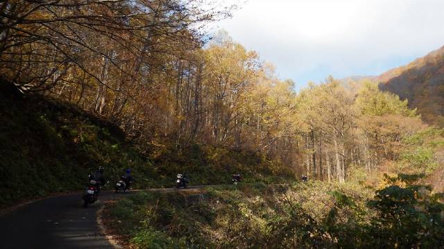 b0164002_1124615.jpg