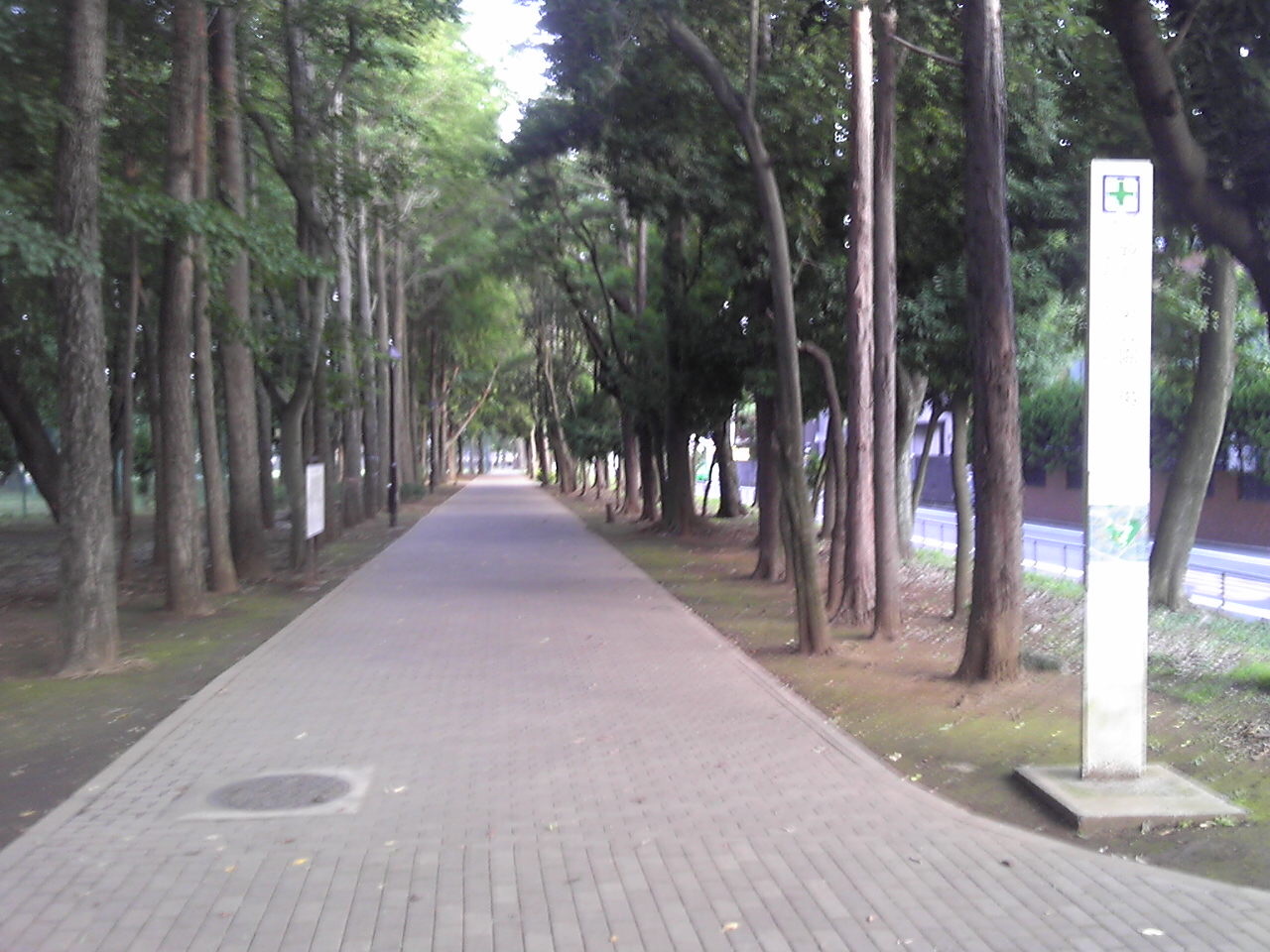 e0242504_12172504.jpg