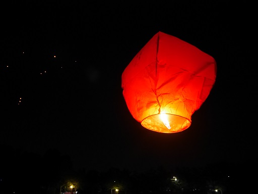 a0140305_21998.jpg