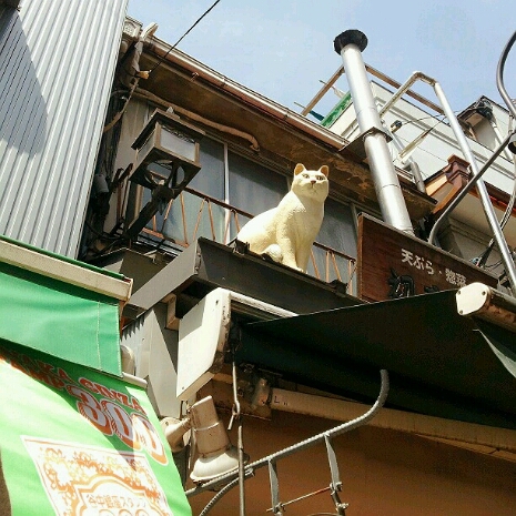 a0183009_10154165.jpg