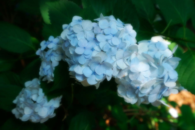 a0263109_1145072.jpg