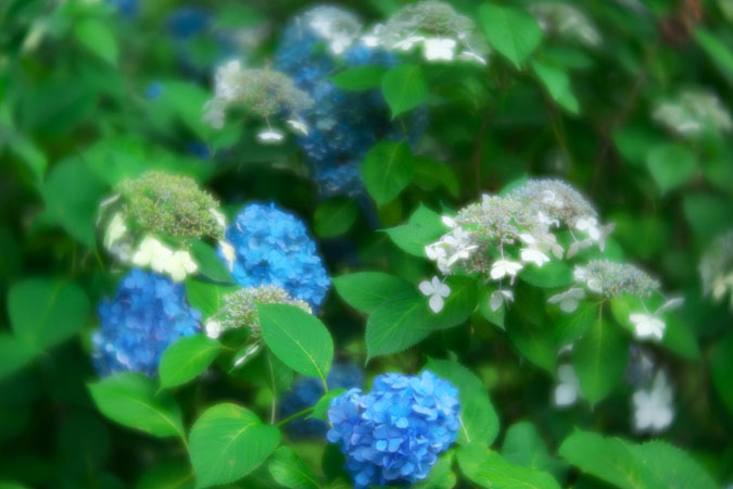 a0263109_117051.jpg