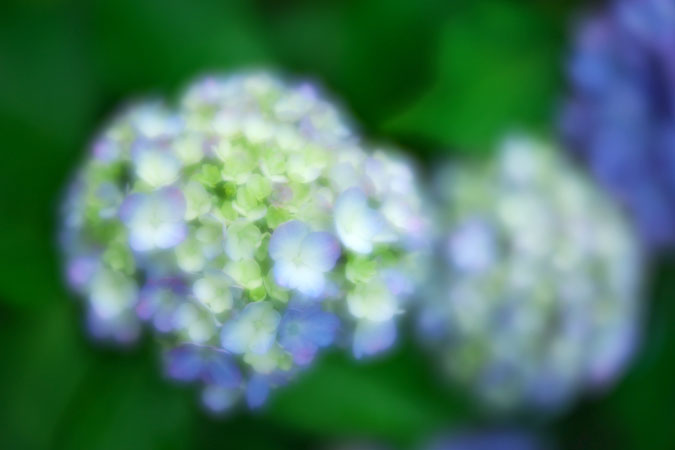 a0263109_1171678.jpg