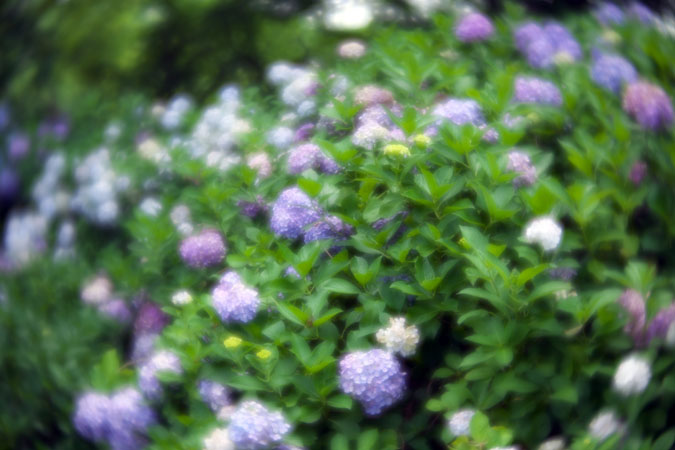 a0263109_117816.jpg