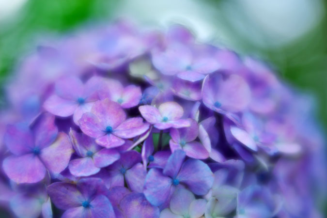 a0263109_1181817.jpg