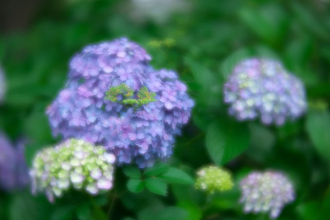 a0263109_1192423.jpg