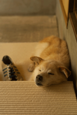 f0251613_0531336.gif