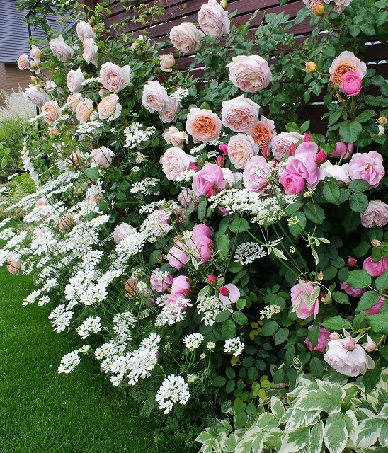 f0205733_00581671.jpg