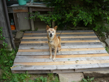 d0090842_1695726.jpg