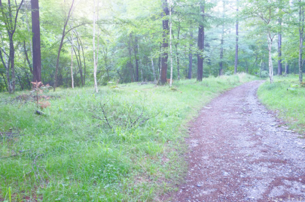 c0228945_06194963.jpg
