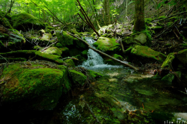 c0228945_06484159.jpg