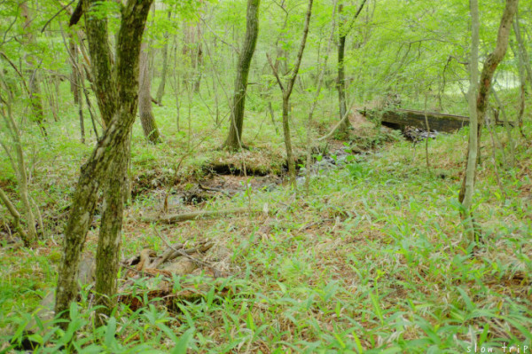 c0228945_06511146.jpg