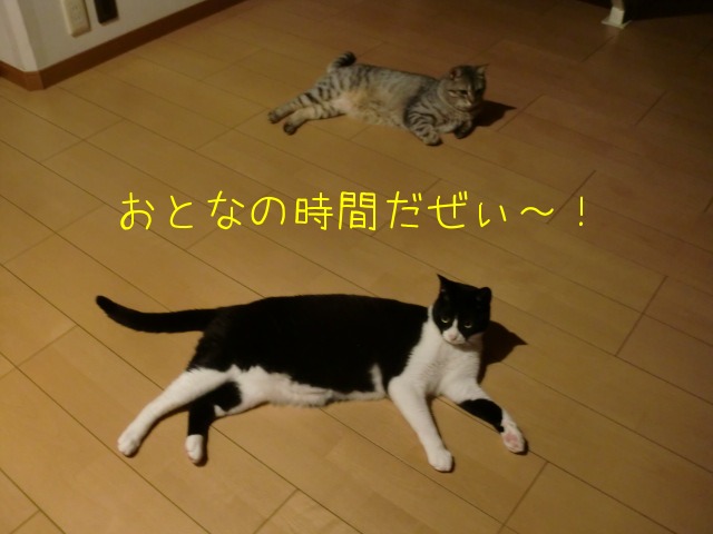 c0259945_13294928.jpg