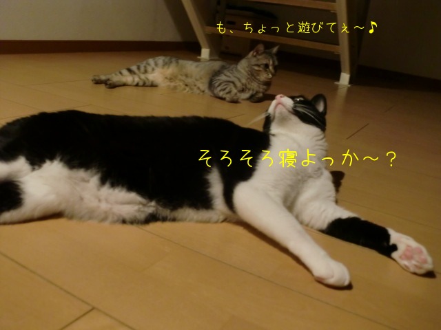 c0259945_1330340.jpg