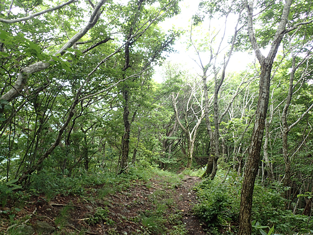 f0214649_3232362.jpg