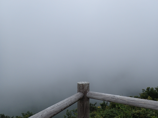f0214649_350725.jpg