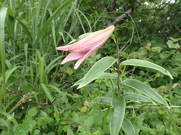 f0214649_3553915.jpg