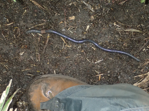 f0214649_462757.jpg