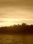 f0257756_0594087.jpg