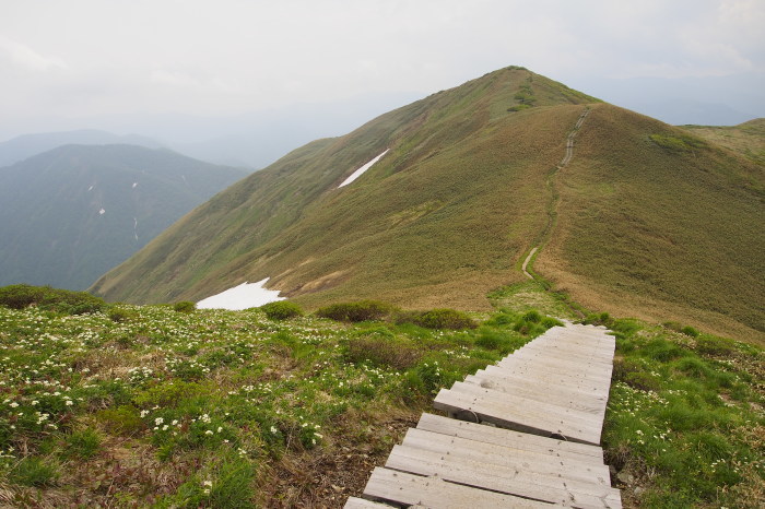e0307372_17212021.jpg