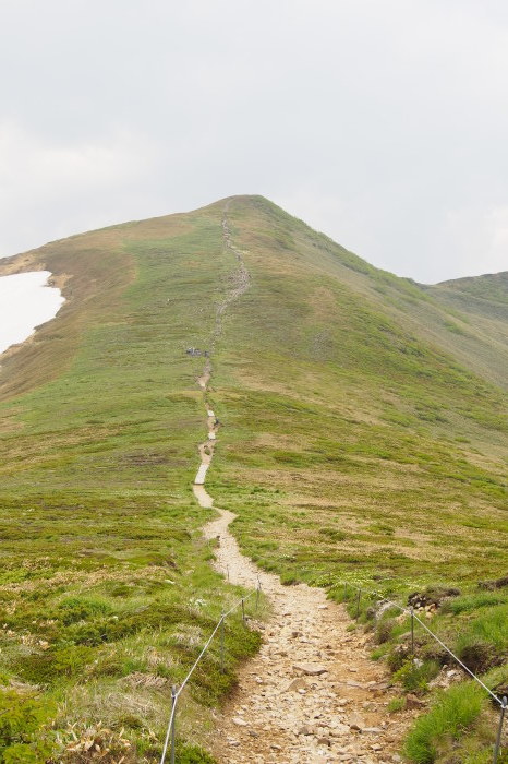e0307372_17360497.jpg