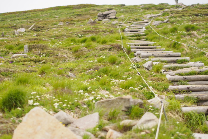 e0307372_19174489.jpg