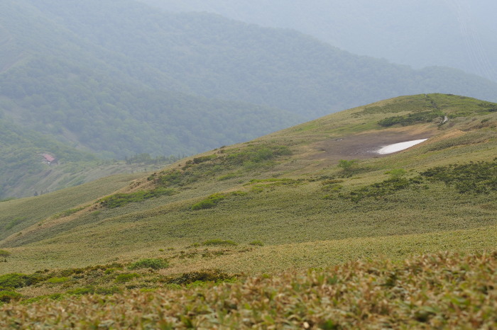 e0307372_20512683.jpg
