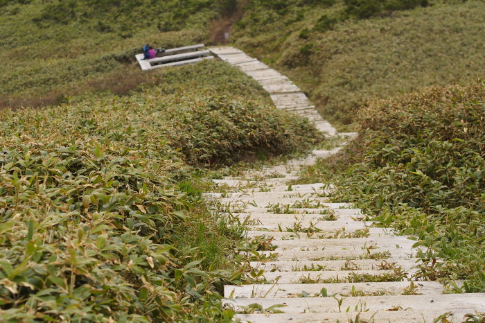e0307372_20515625.jpg