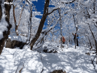 f0357487_2116158.gif