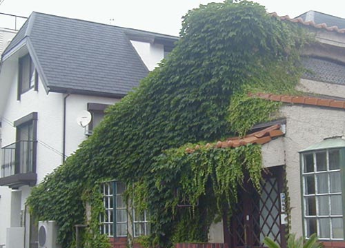 d0053294_0201096.jpg