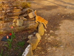 b0110999_05045080.jpg