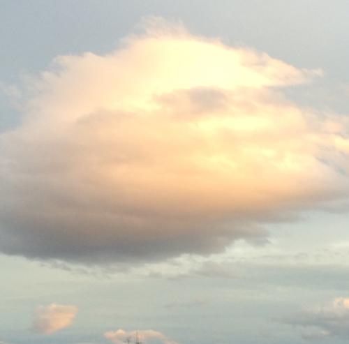 b0349003_21002390.jpg