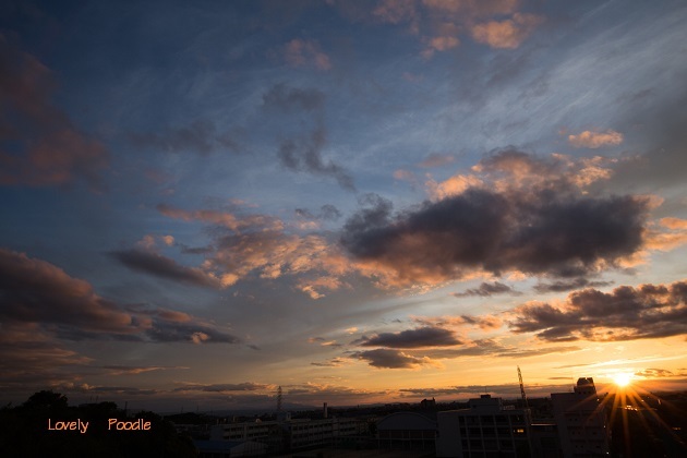 d0257606_19254313.jpg