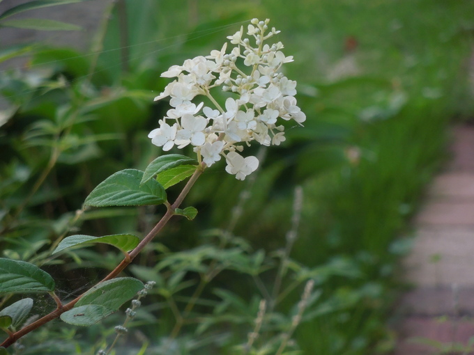 f0297809_050338.jpg
