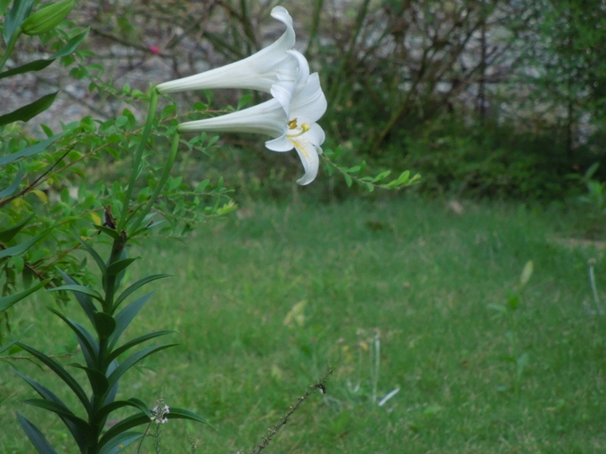 f0297809_10215.jpg
